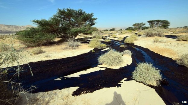 Israel oil spill  'biggest ecological disaster' country has faced