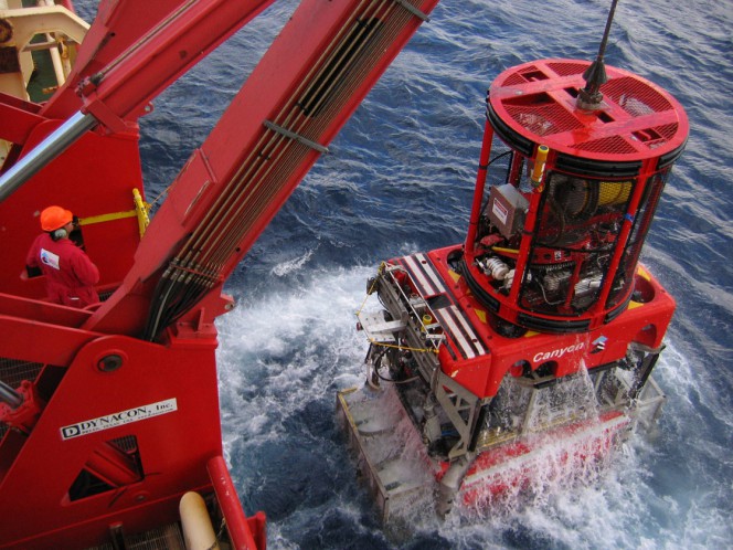 Technip take Canyon Offshore for Gulf of Mexico Operations
